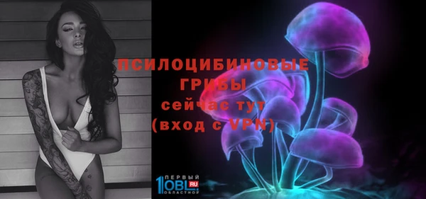 Альфа ПВП Нягань