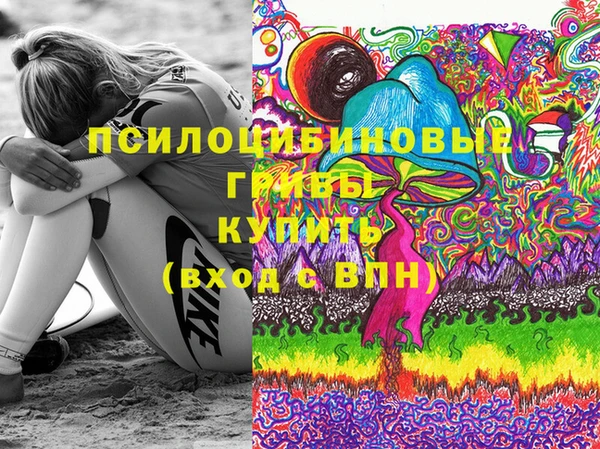 Альфа ПВП Нягань