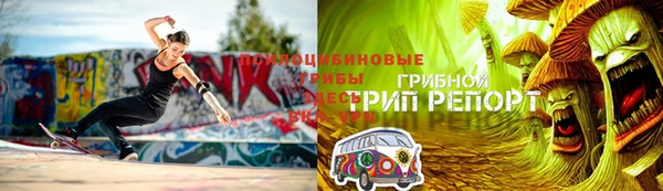 mdpv Няндома